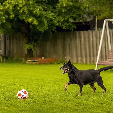 ゲストハウス Cyprian