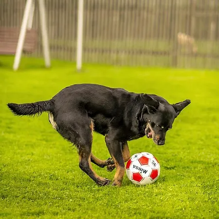 Cyprian Penzión pre hostí Zdiar